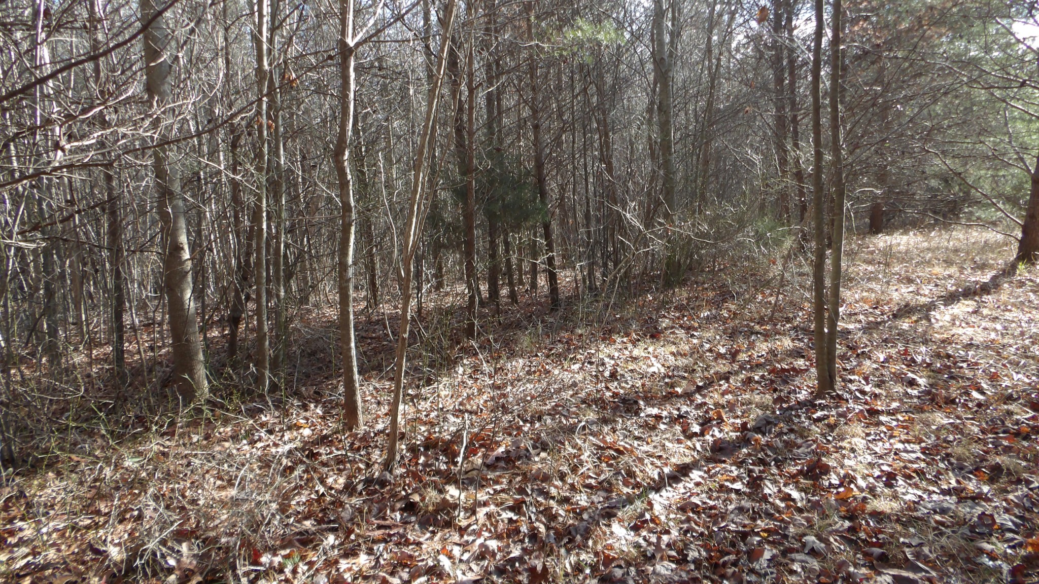 0 Meadow Lane Spencer TN 38585