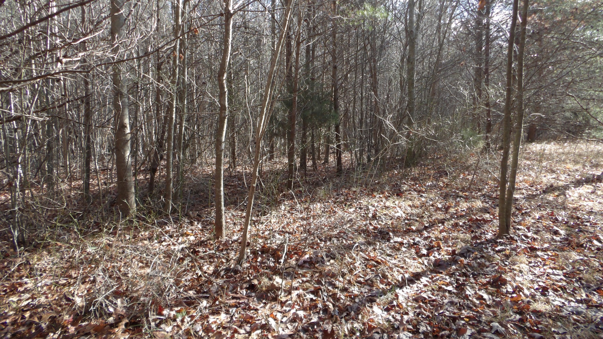 0 Meadow Lane Spencer TN 38585
