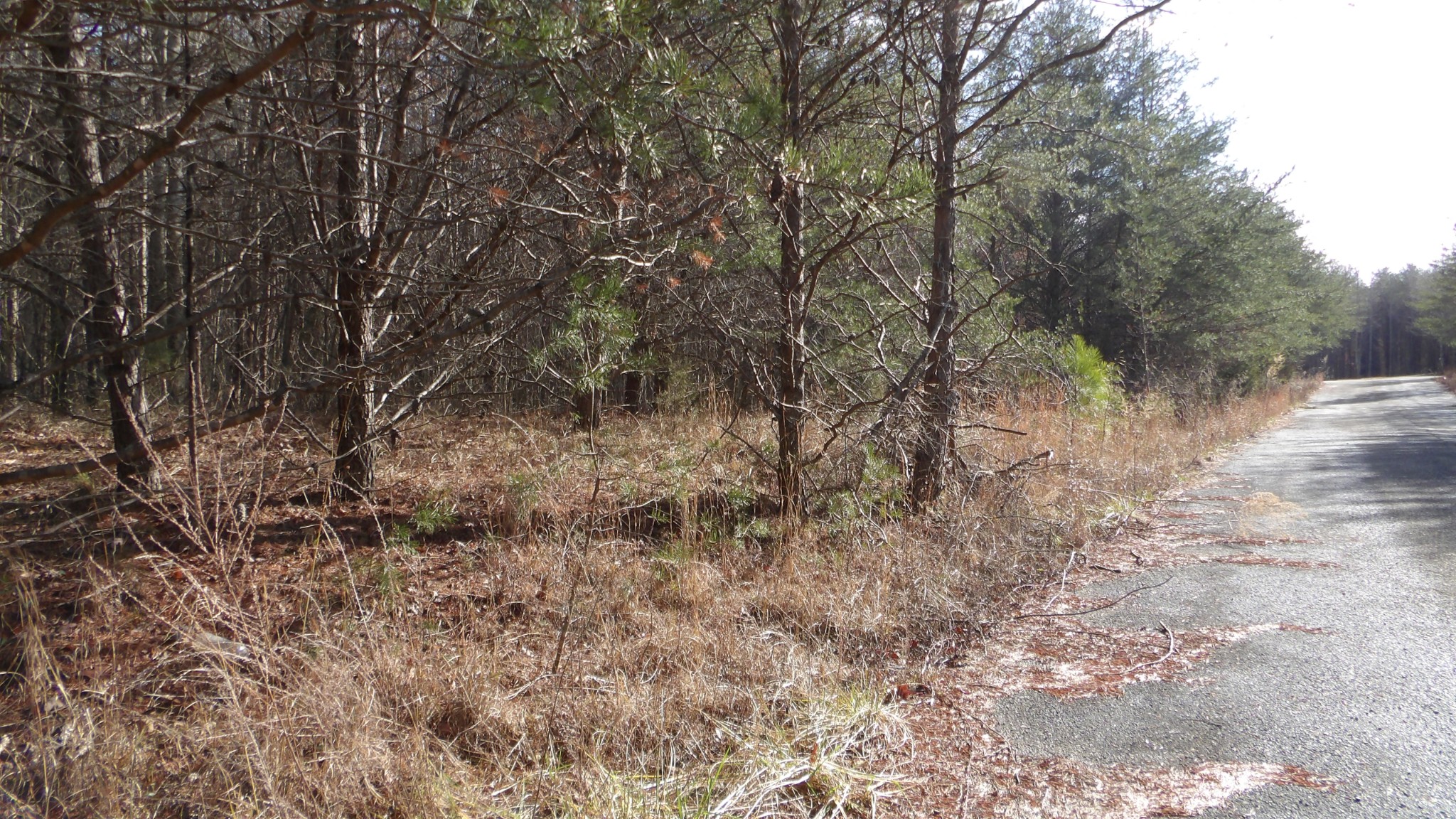 0 Meadow Lane Spencer TN 38585