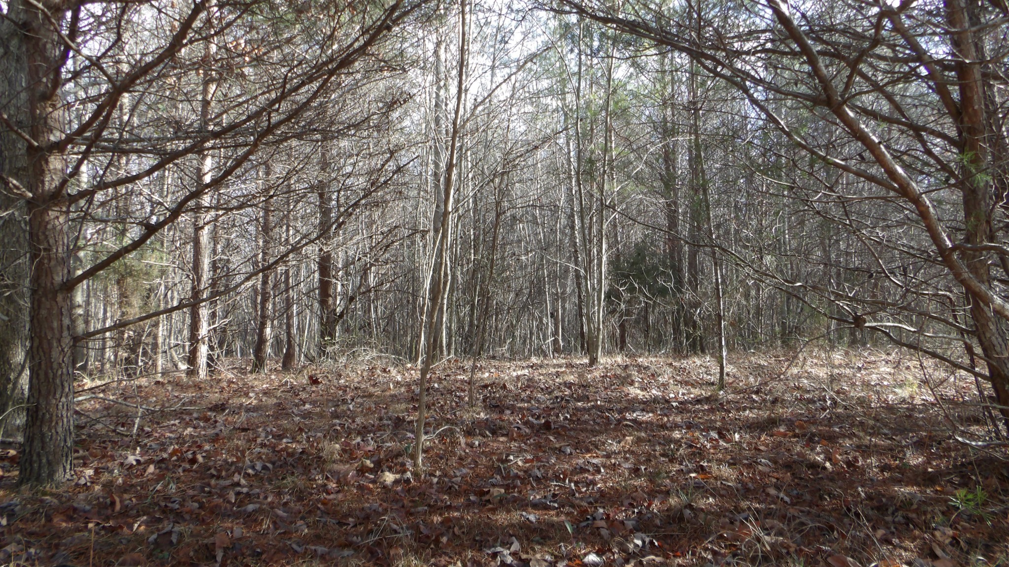 0 Meadow Lane Spencer TN 38585