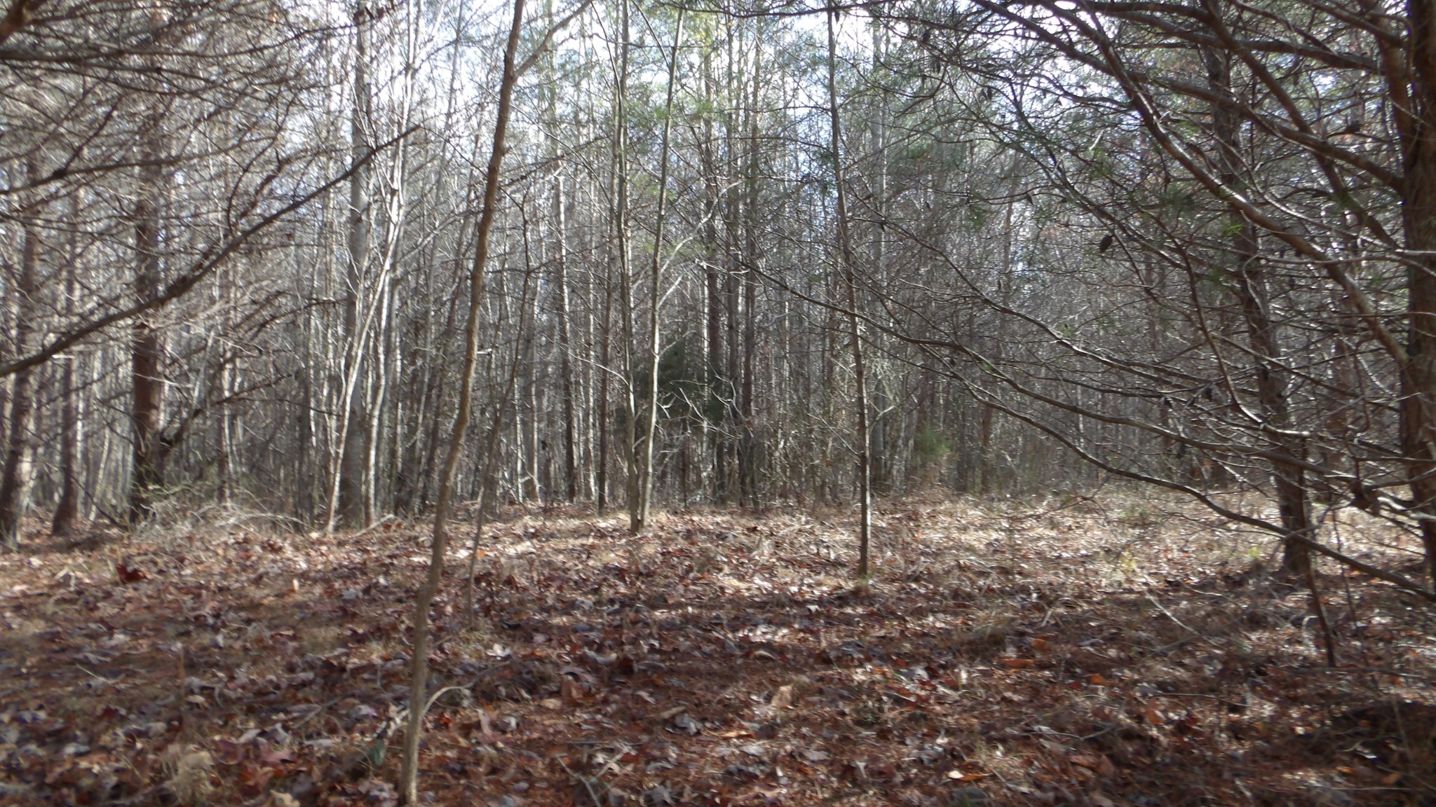 0 Meadow Lane Spencer TN 38585