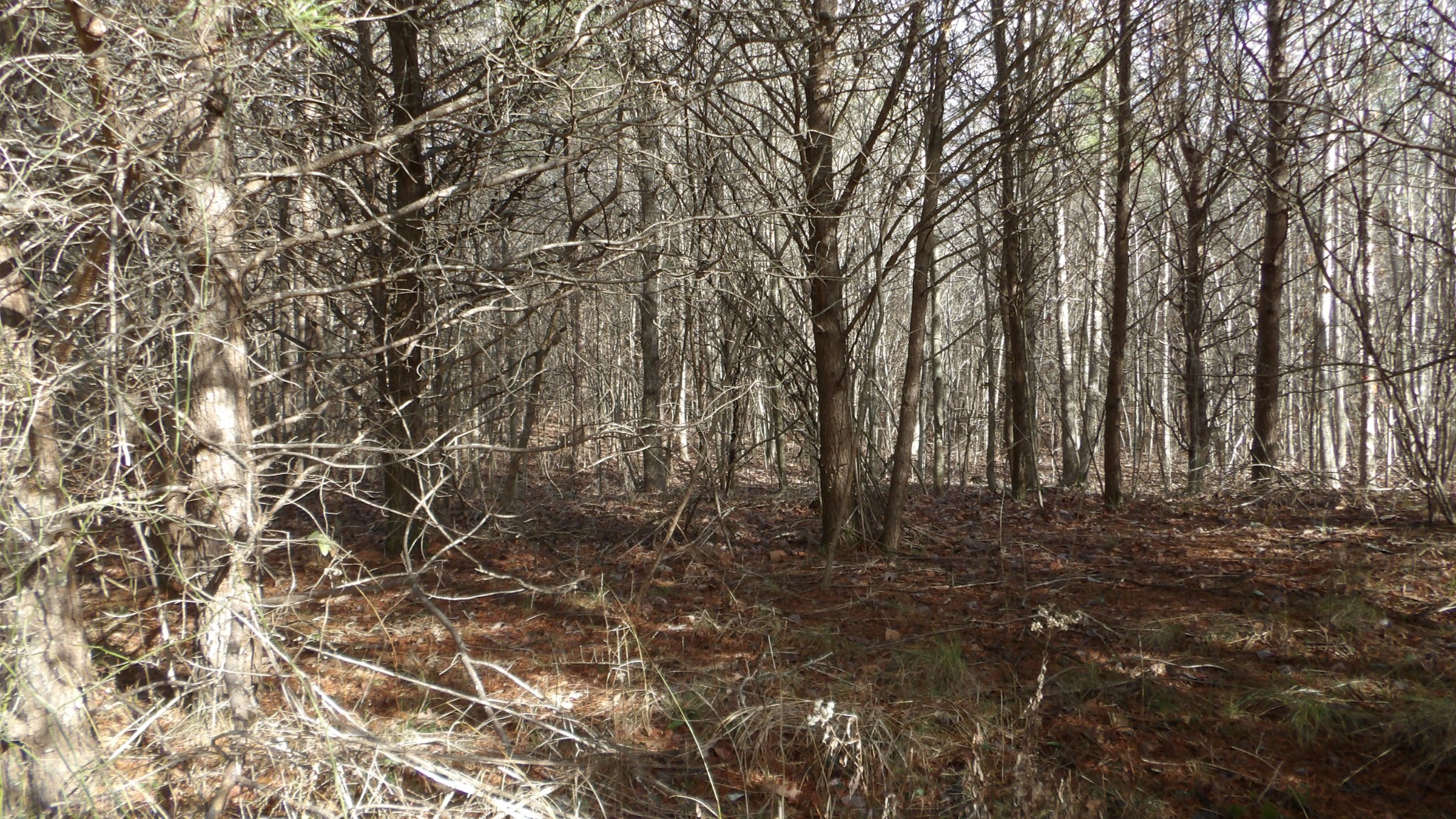 0 Meadow Lane Spencer TN 38585