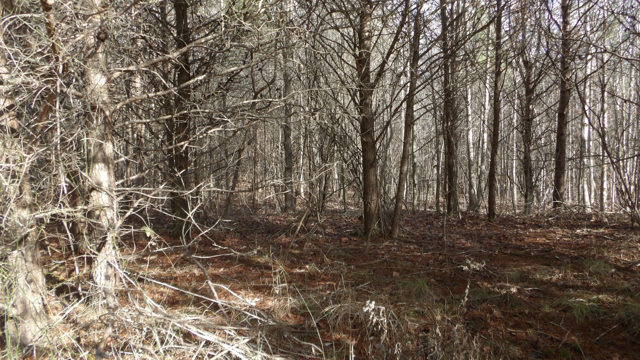 0 Meadow Lane Spencer TN 38585