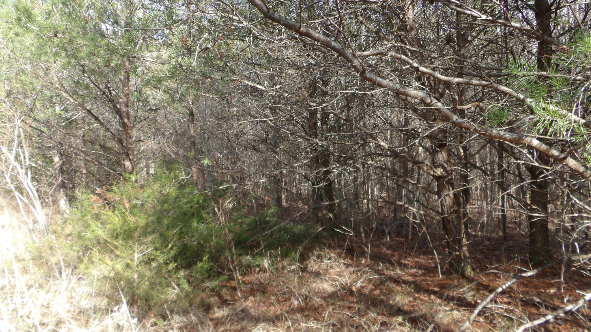 0 Meadow Lane Spencer TN 38585