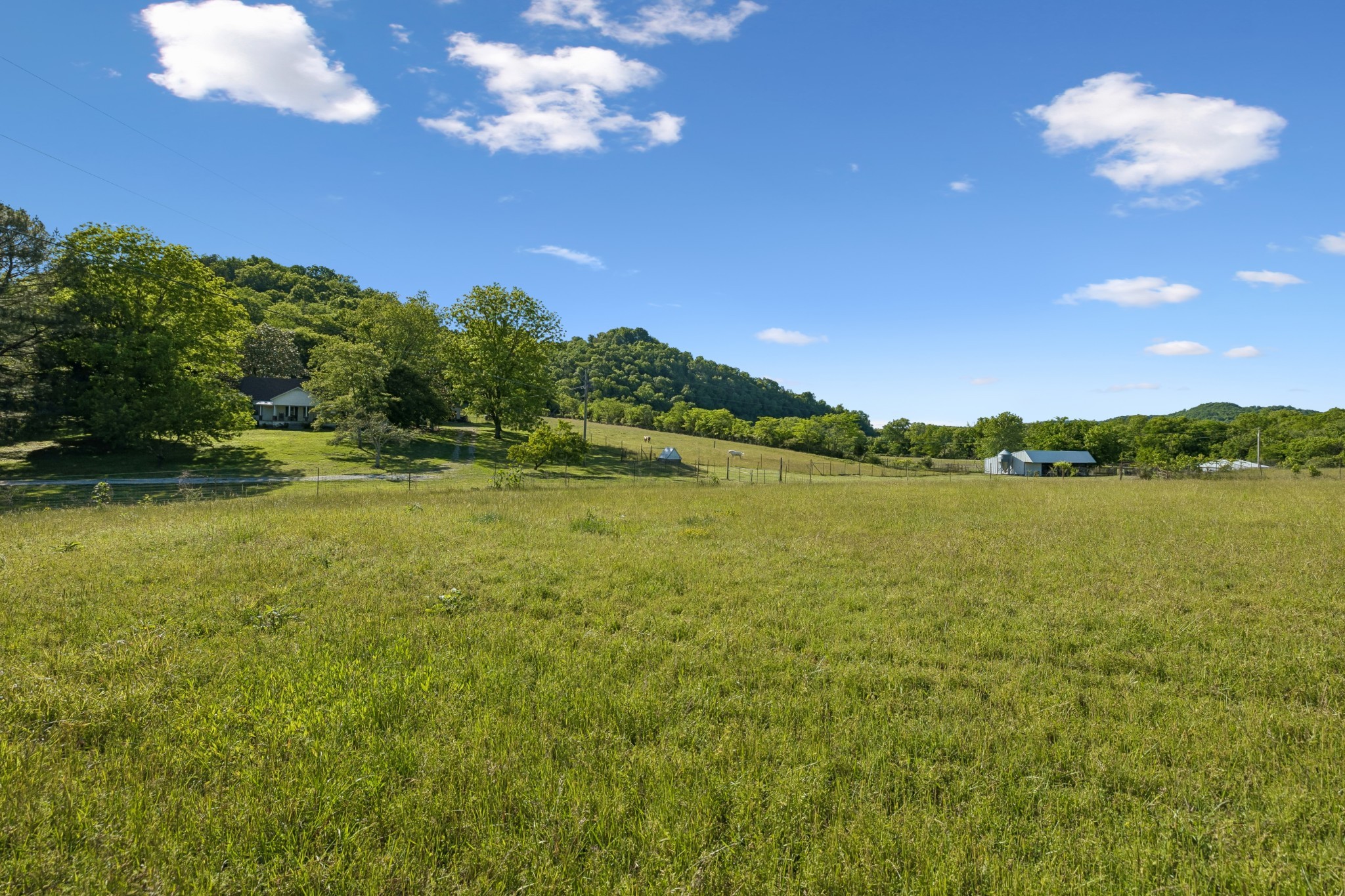 97 Seabo Valley Lane Hickman TN 38567