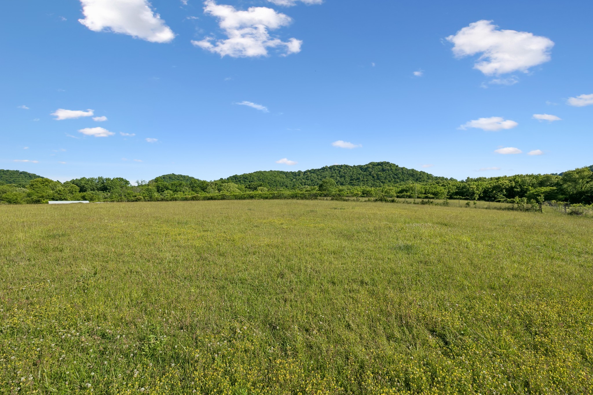 97 Seabo Valley Lane Hickman TN 38567