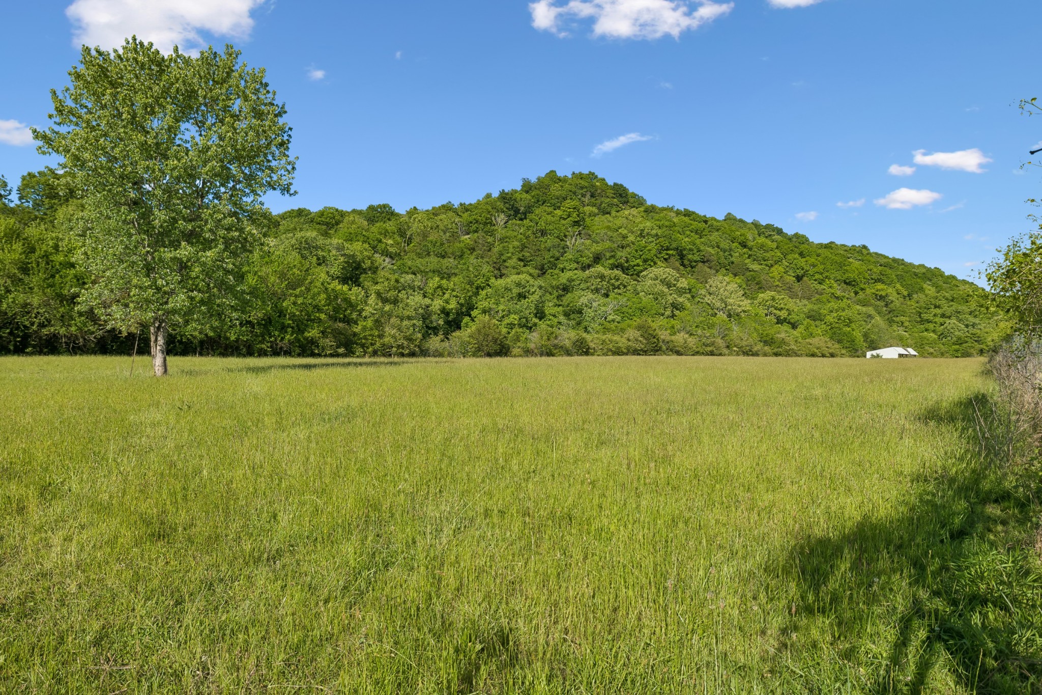 97 Seabo Valley Lane Hickman TN 38567