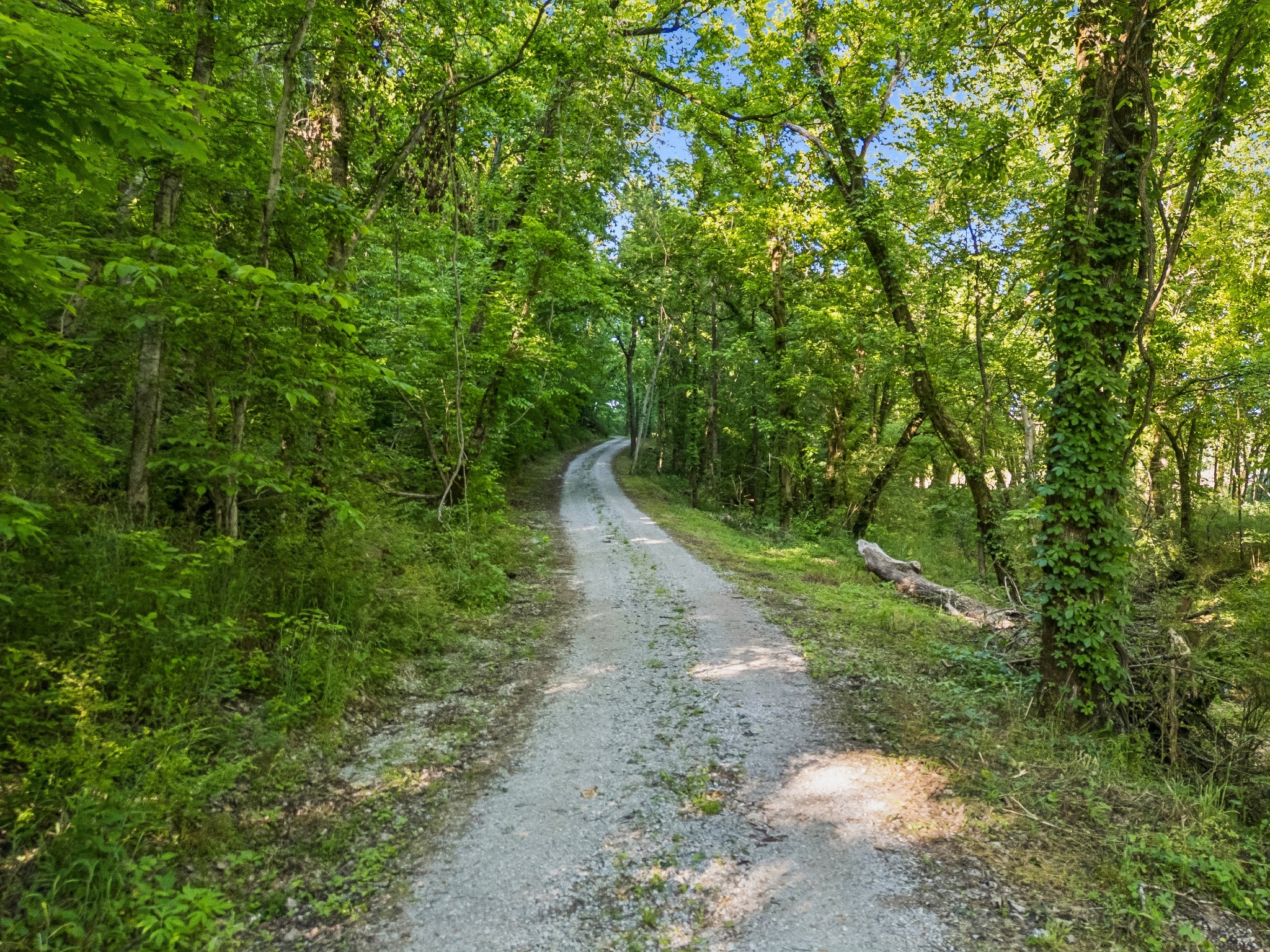 97 Seabo Valley Lane Hickman TN 38567