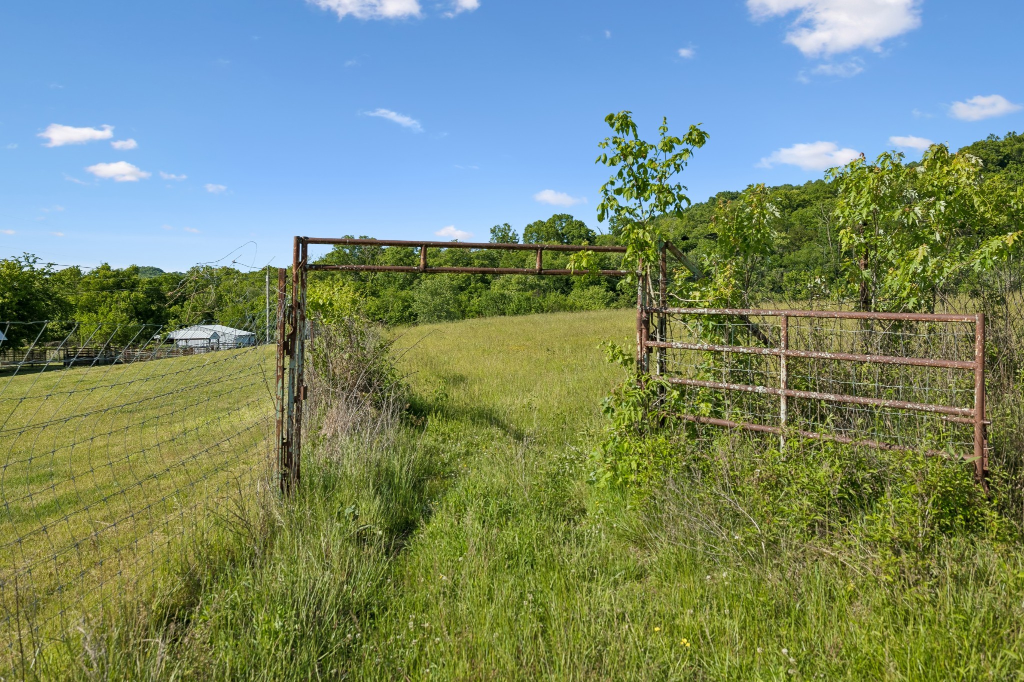 97 Seabo Valley Lane Hickman TN 38567