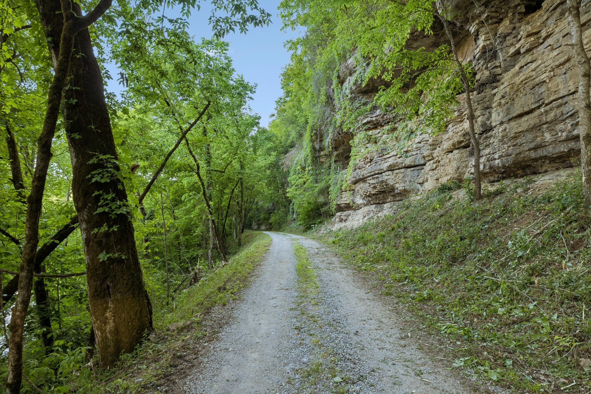 97 Seabo Valley Lane Hickman TN 38567