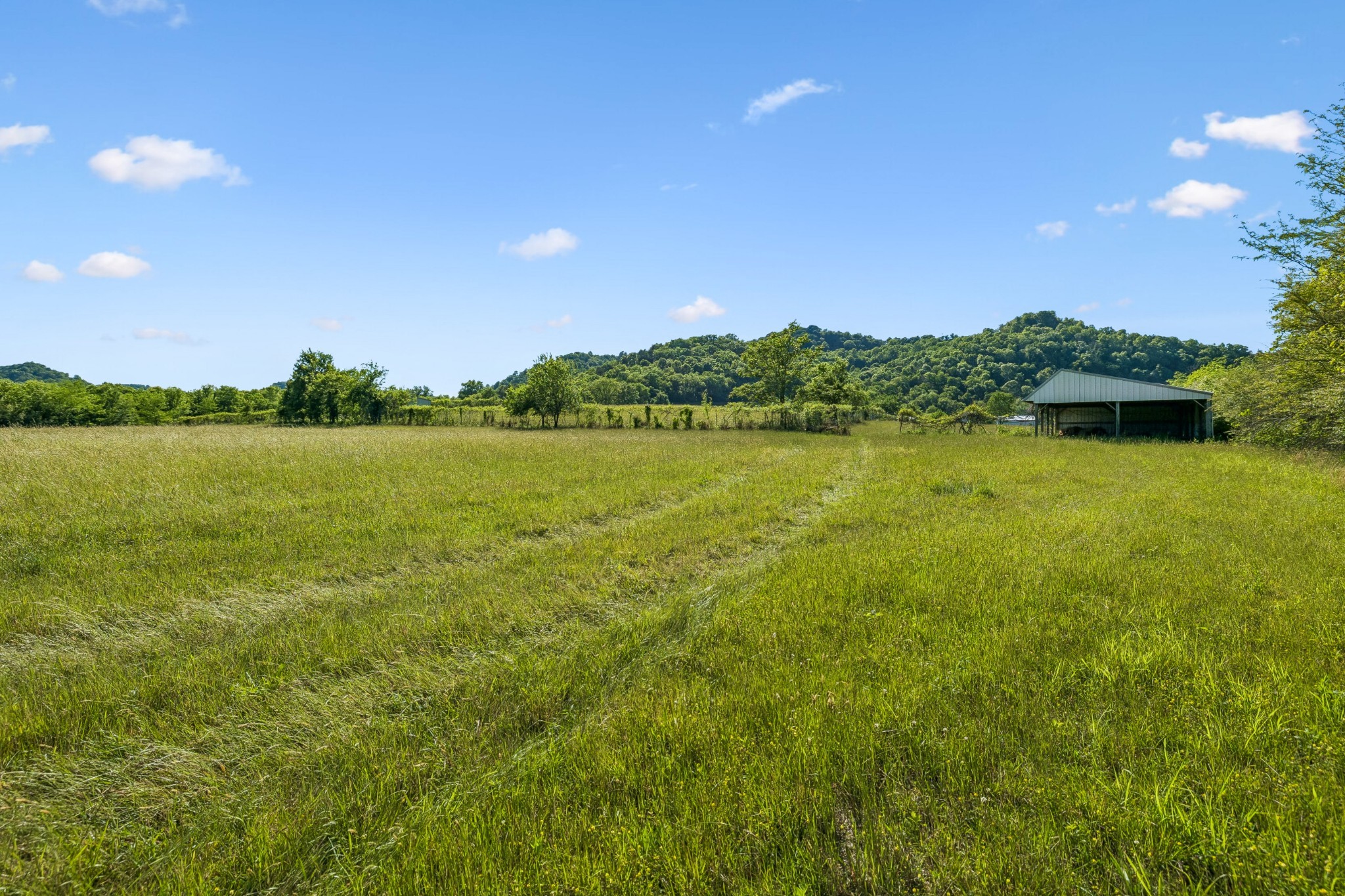 97 Seabo Valley Lane Hickman TN 38567