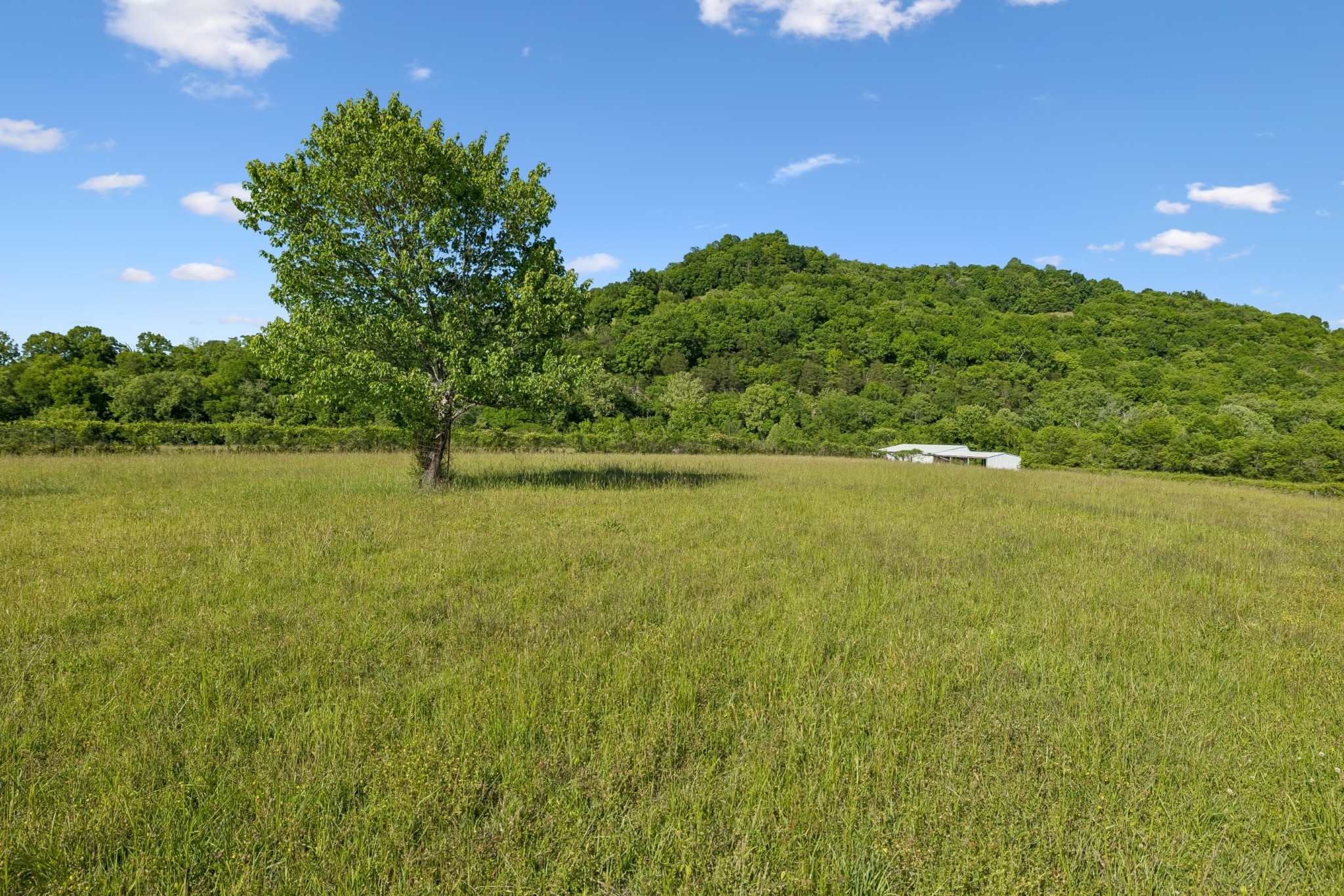 97 Seabo Valley Lane Hickman TN 38567