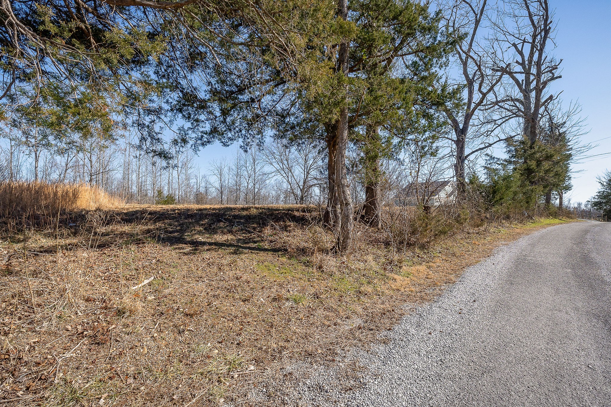0 Backbone Road Smithville TN 37166