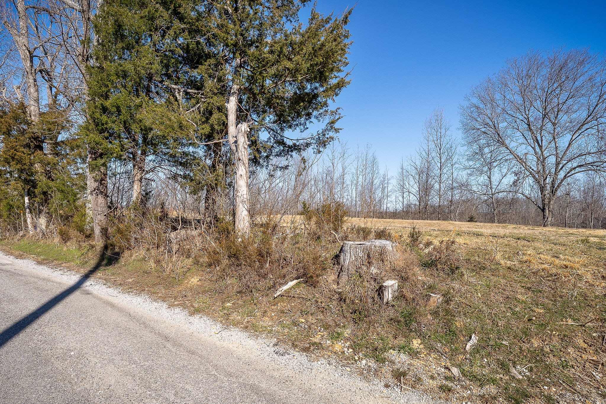 0 Backbone Road Smithville TN 37166