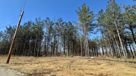 173 Center Ridge Drive Hohenwald TN 38462
