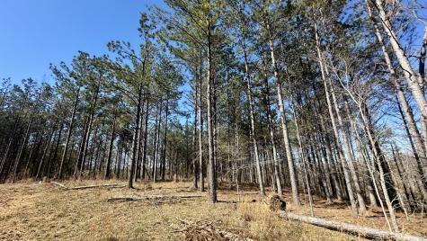 173 Center Ridge Drive Hohenwald TN 38462