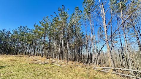 173 Center Ridge Drive Hohenwald TN 38462