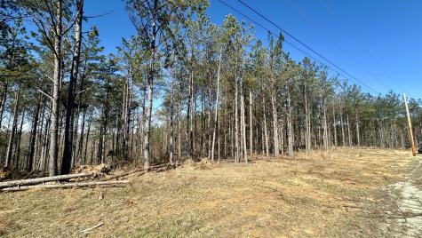 173 Center Ridge Drive Hohenwald TN 38462
