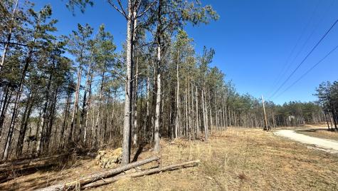 173 Center Ridge Drive Hohenwald TN 38462