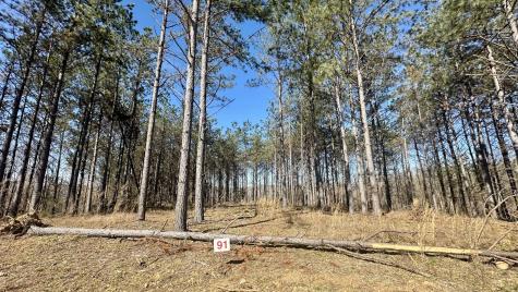173 Center Ridge Drive Hohenwald TN 38462
