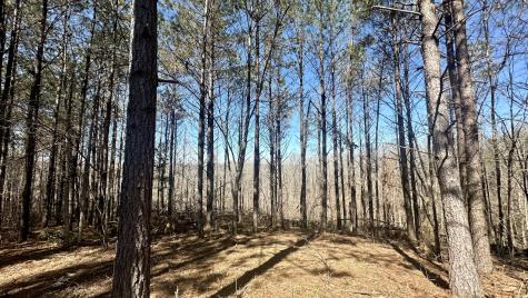173 Center Ridge Drive Hohenwald TN 38462