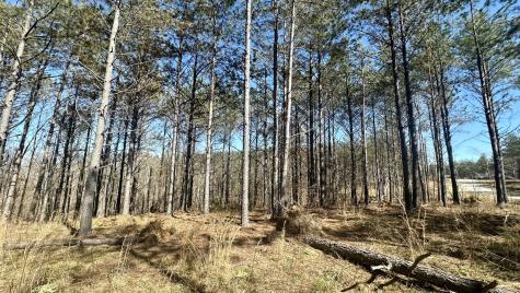 173 Center Ridge Drive Hohenwald TN 38462