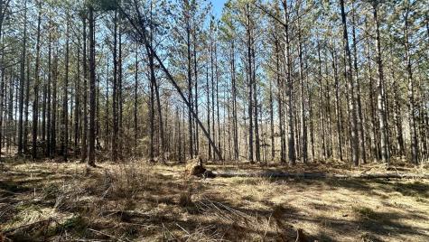 173 Center Ridge Drive Hohenwald TN 38462