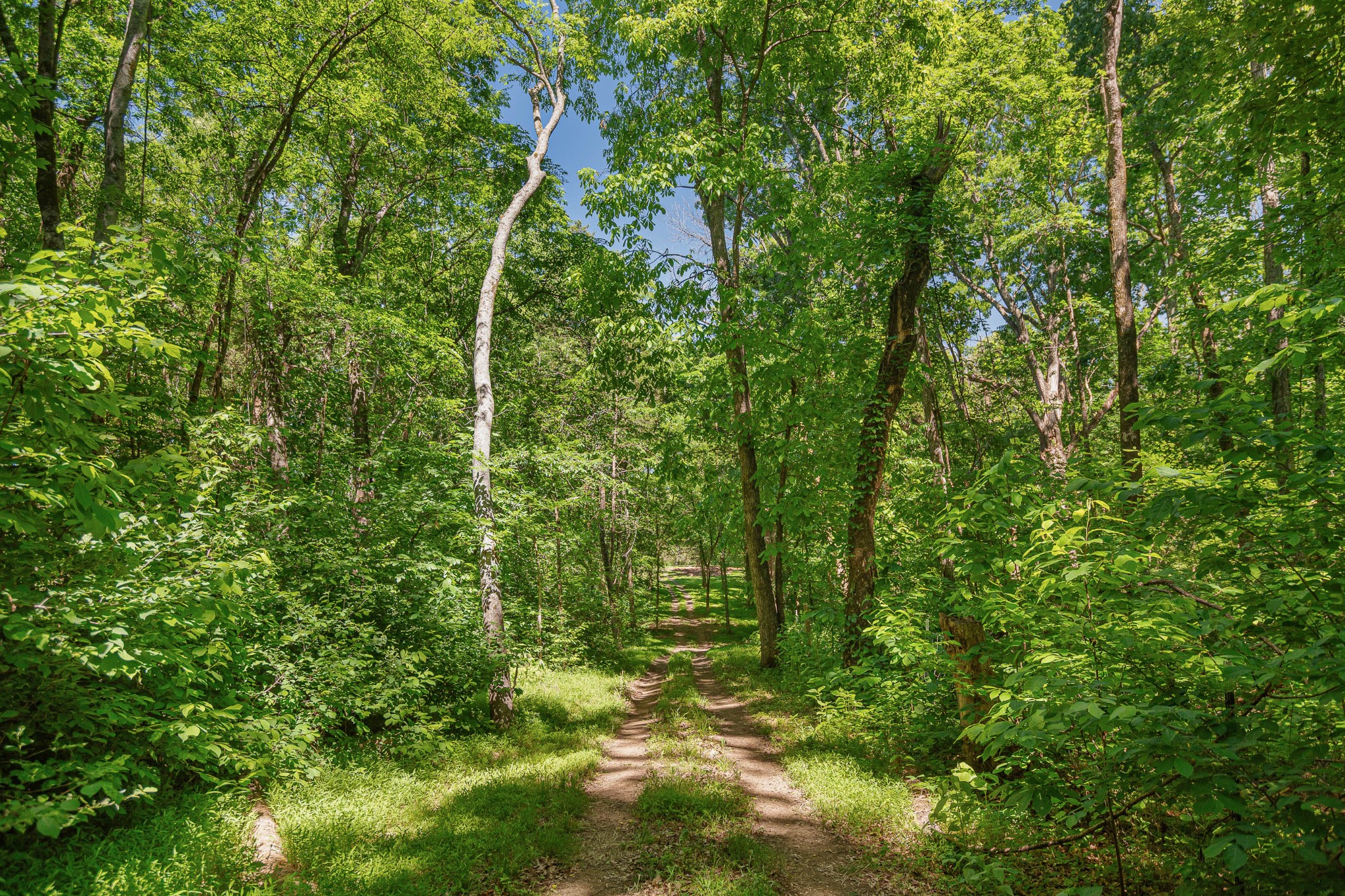 642 Beach Bottom Road Watertown TN 37184