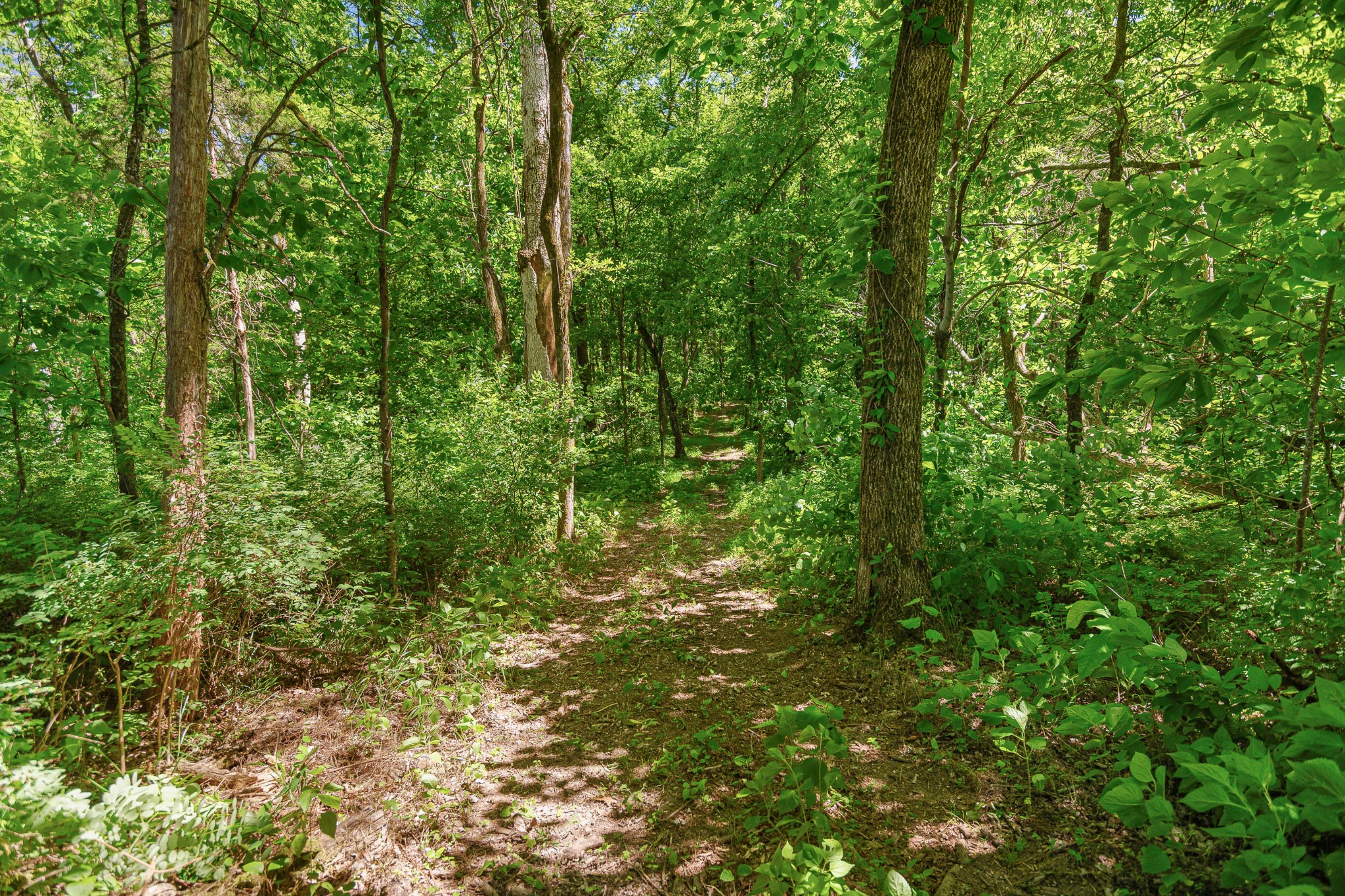 642 Beach Bottom Road Watertown TN 37184