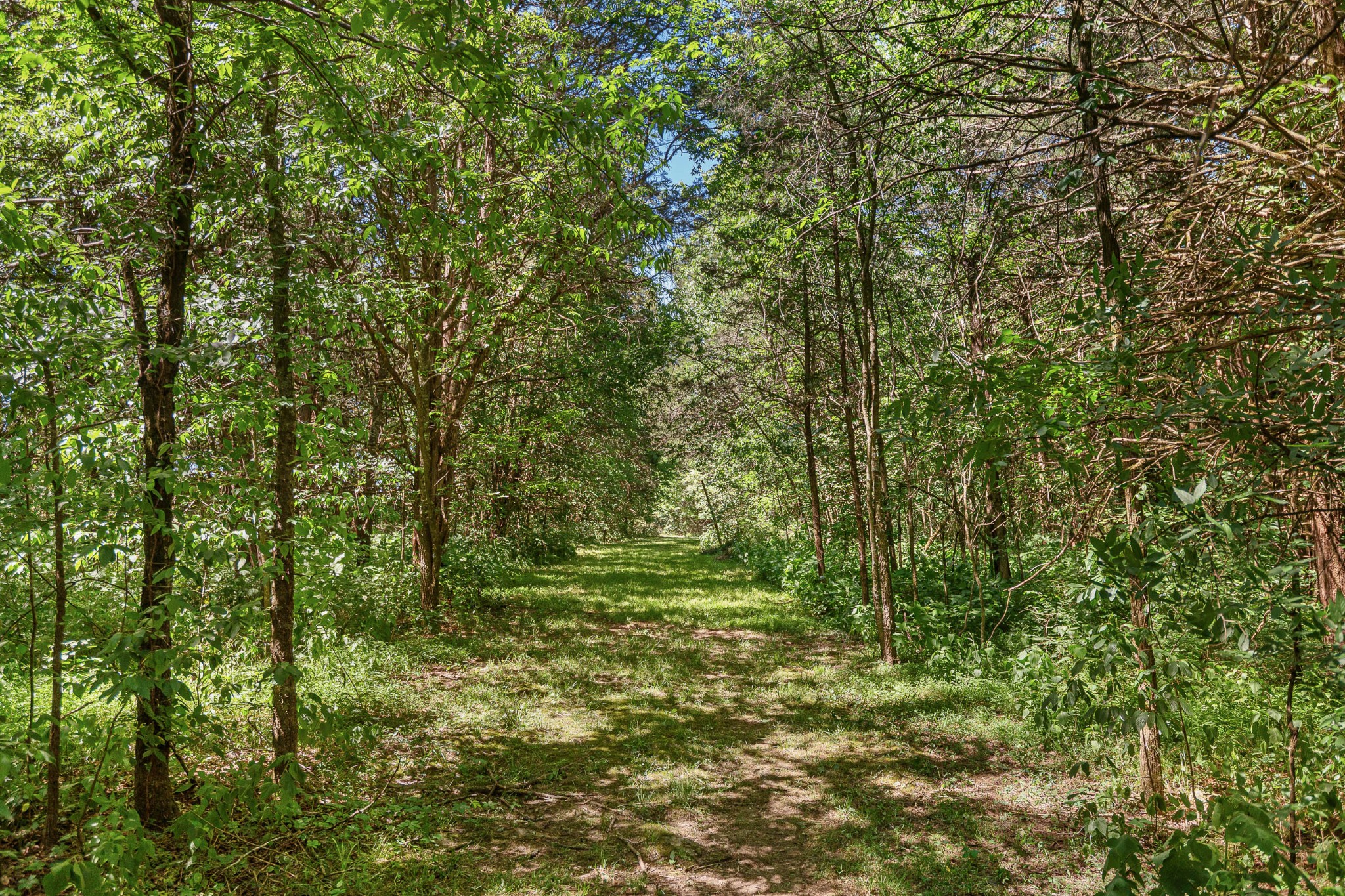 642 Beach Bottom Road Watertown TN 37184