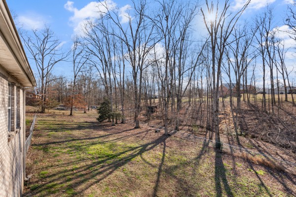 5805 Washer Road Lyles TN 37098