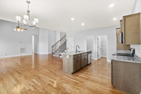 226 Misty Drive Pleasant View TN 37146
