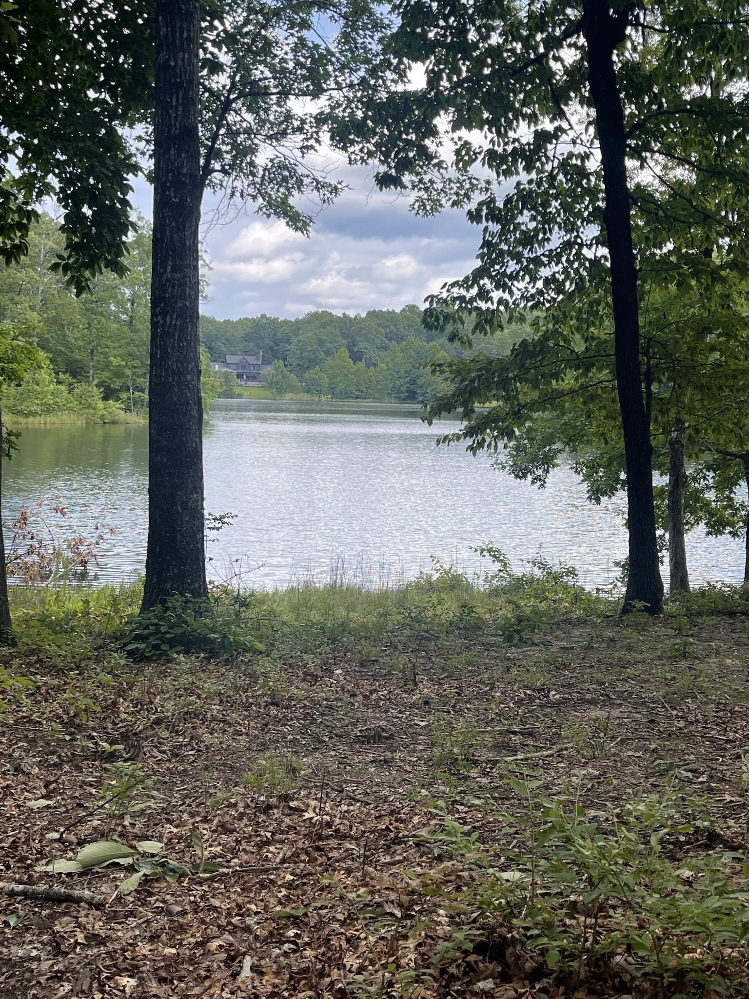 162 Lake Louisa Loop Monteagle TN 37356