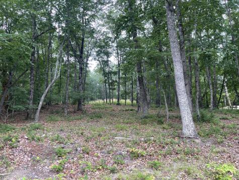 162 Lake Louisa Loop Monteagle TN 37356