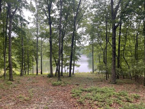 162 Lake Louisa Loop Monteagle TN 37356
