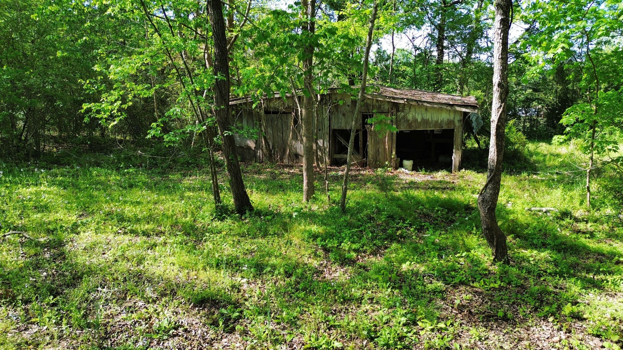 3321 Petway Road Ashland City TN 37015