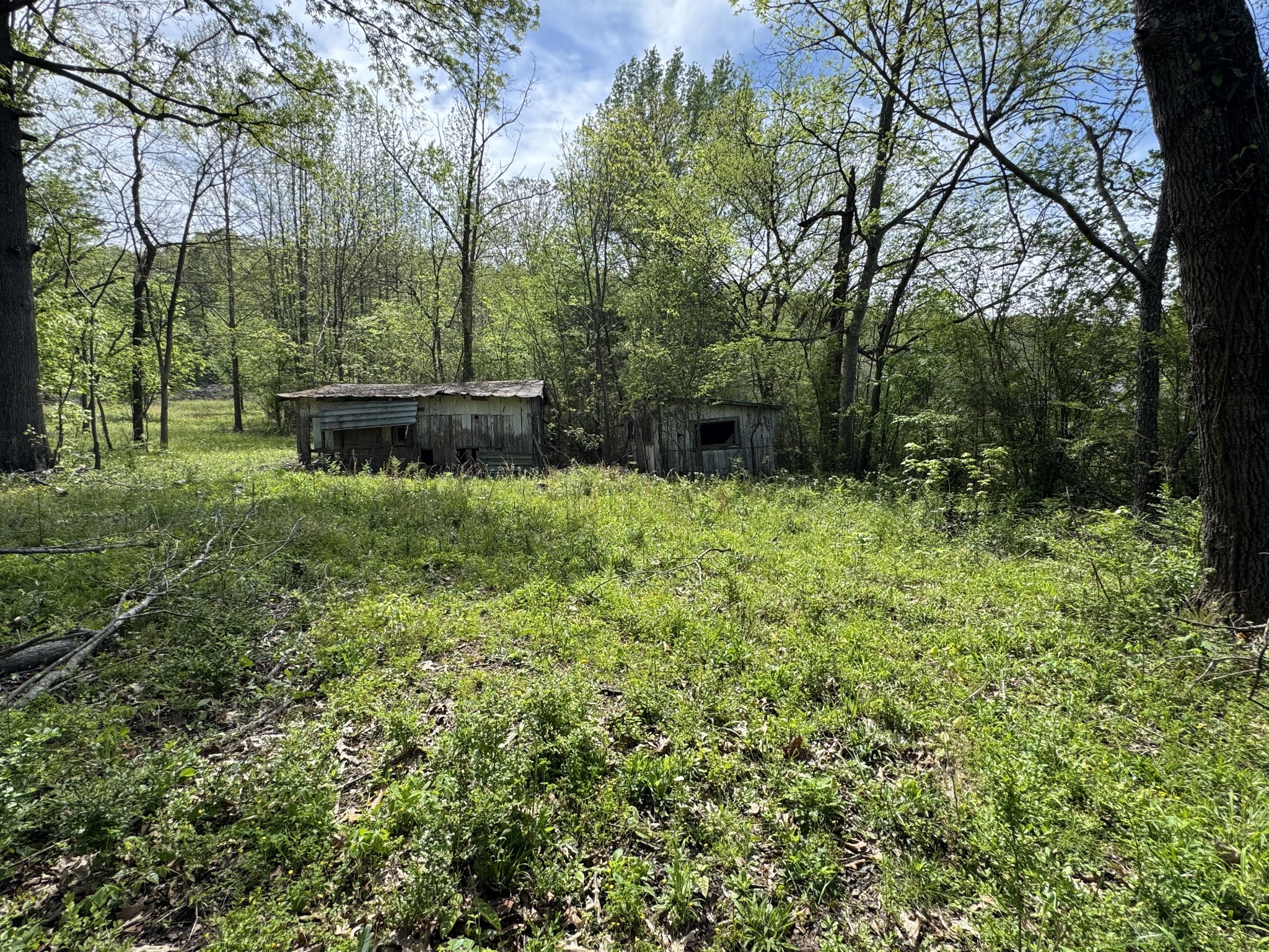 3321 Petway Road Ashland City TN 37015