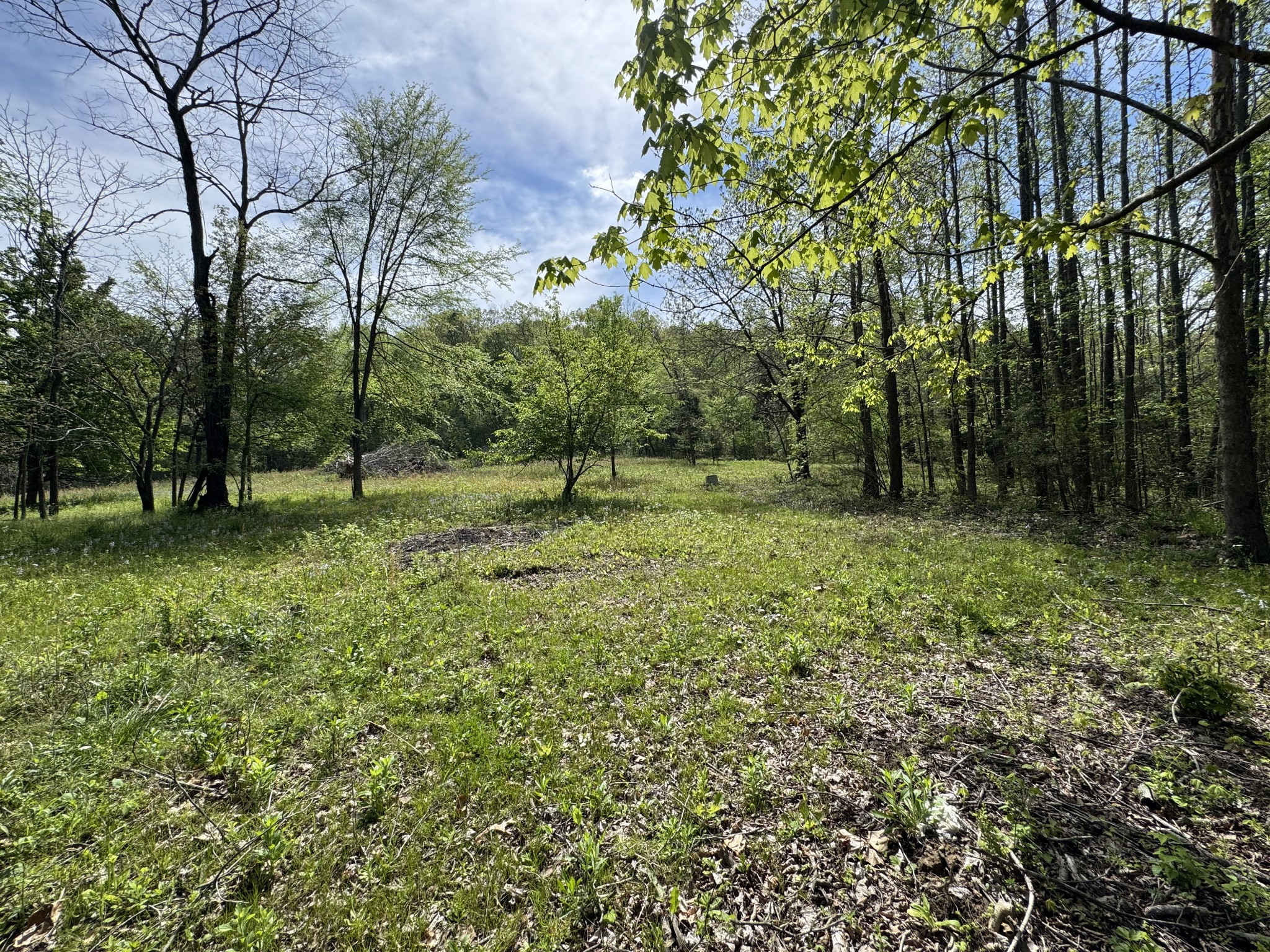 3321 Petway Road Ashland City TN 37015