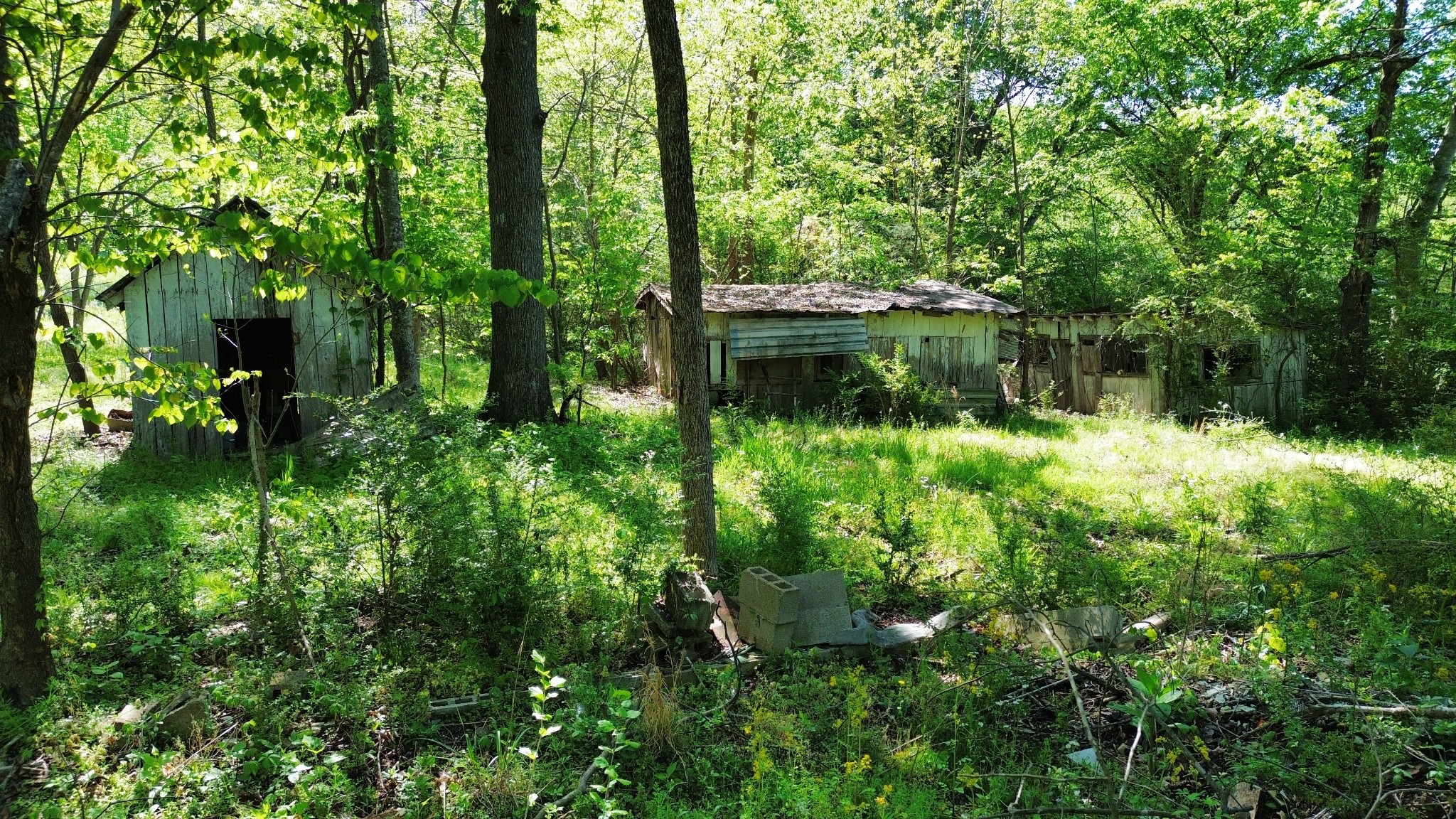 3321 Petway Road Ashland City TN 37015