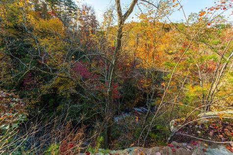 0 Monteagle Falls Road Monteagle TN 37356