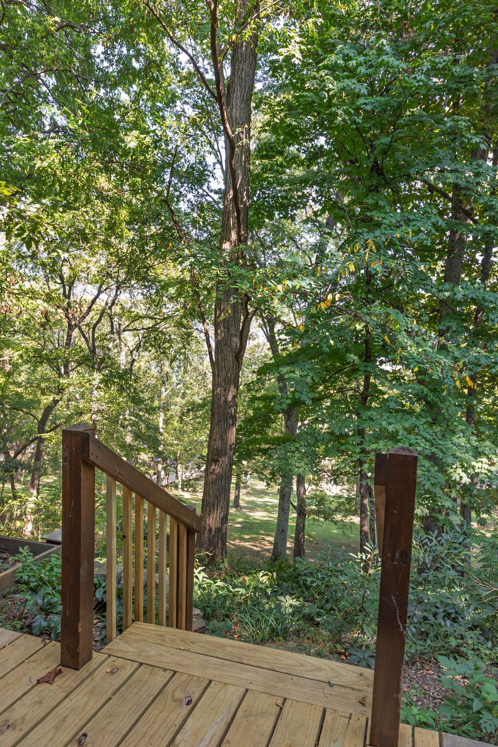 475 Skyline Drive Lewisburg TN 37091