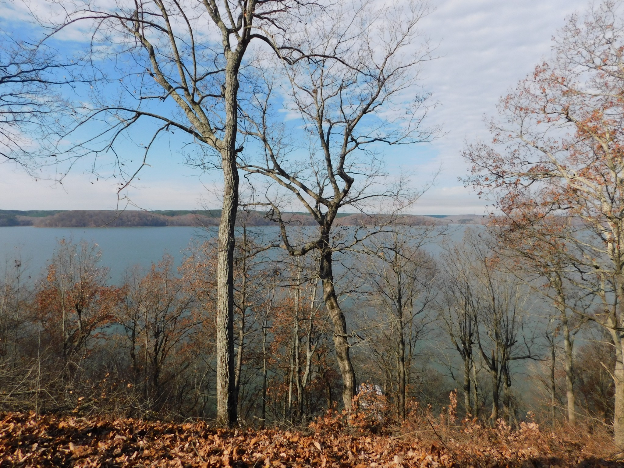 0 Sunset Ridge Waverly TN 37185