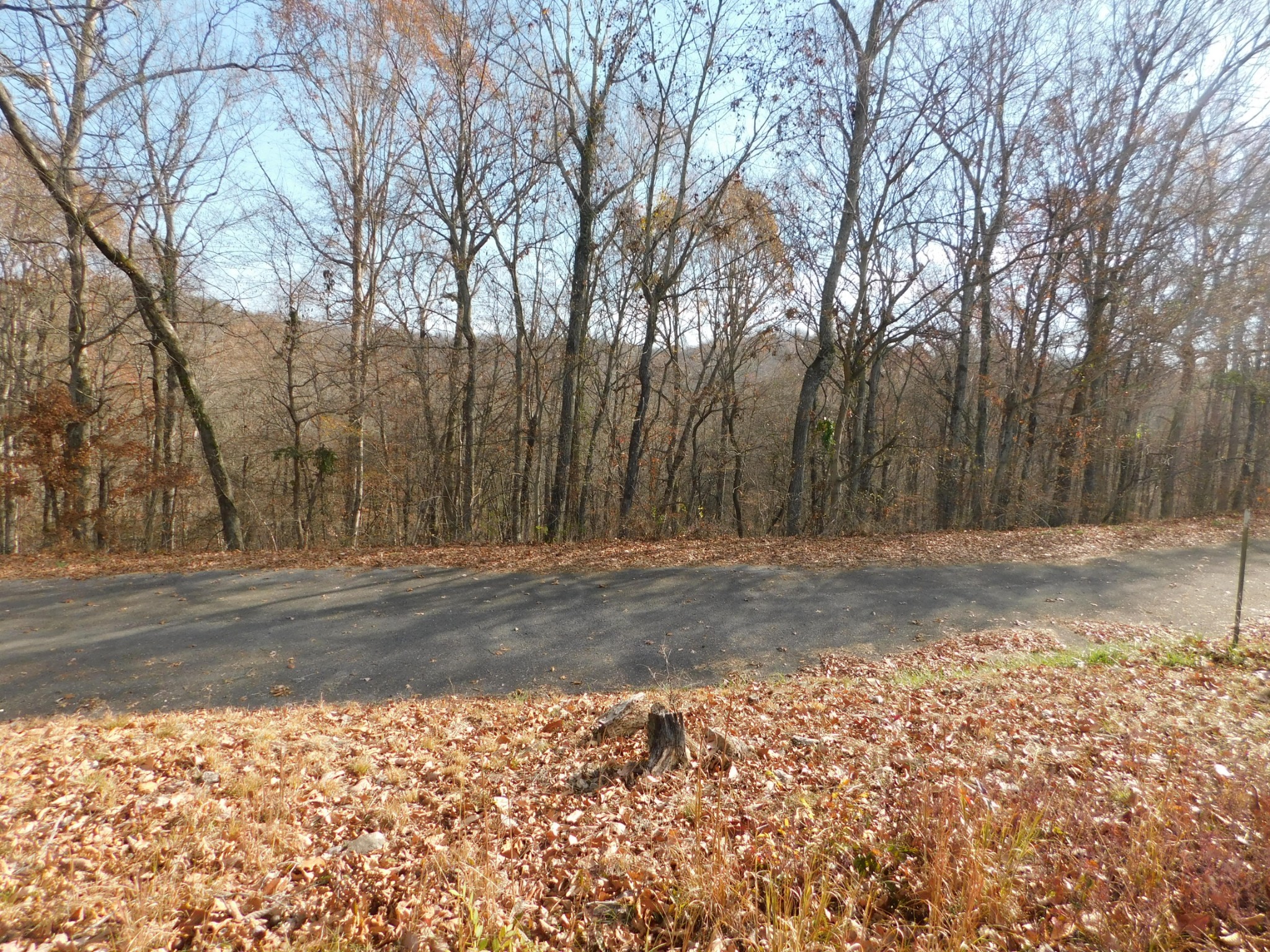 0 Sunset Ridge Waverly TN 37185
