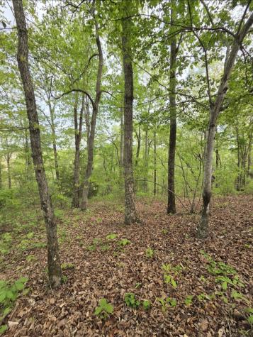 0 Red Bank Road Lobelville TN 37097