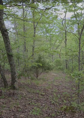 0 Red Bank Road Lobelville TN 37097
