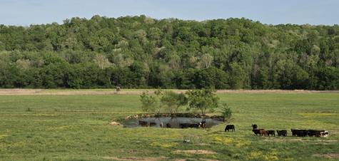 0 Red Bank Road Lobelville TN 37097
