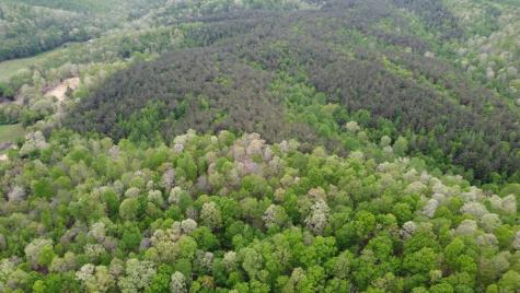0 Red Bank Road Lobelville TN 37097