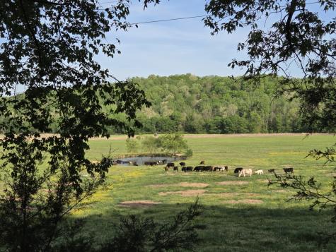 0 Red Bank Road Lobelville TN 37097