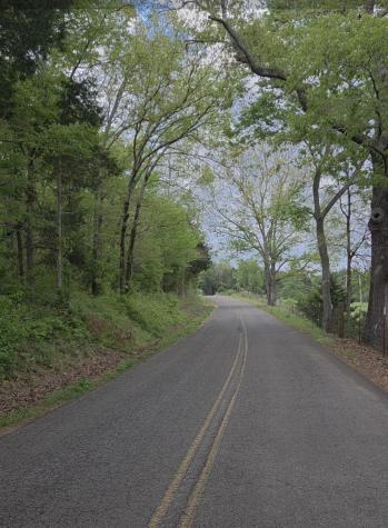 0 Red Bank Road Lobelville TN 37097