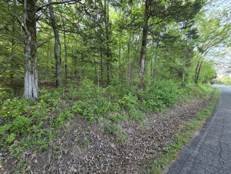 0 Red Bank Road Lobelville TN 37097
